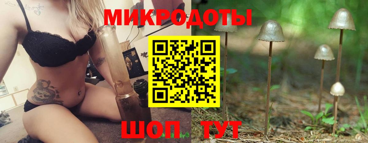 Галлюциногенные грибы Psilocybine cubensis Аксай