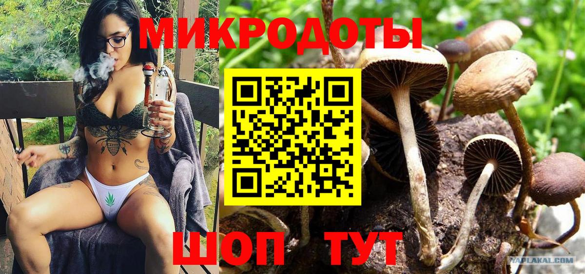 Аксай  как найти наркотики  Вход с VPN  Псилоцибиновые грибы Psilocybe 